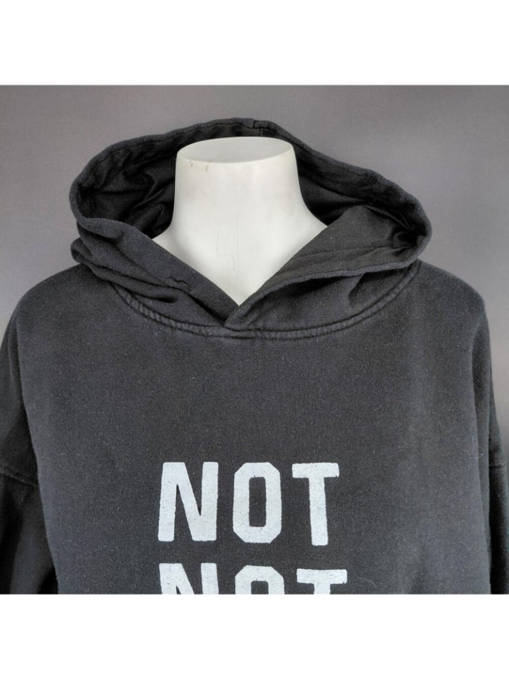 A$$holes Live Forever Hoodie Sweatshirt Mens Large Black Not Not Hungover Funny - Picture 3 of 9